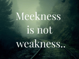 Meekness is not&nbsp;weakness..